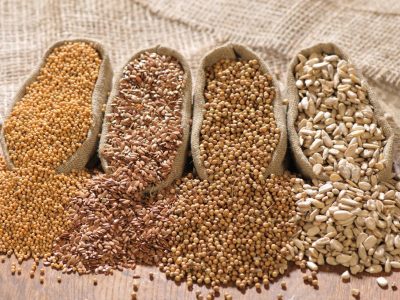 Oilseed
